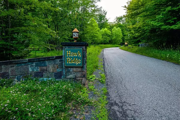 Saranac Lake, NY 12983,Lot 2 Hawk LN