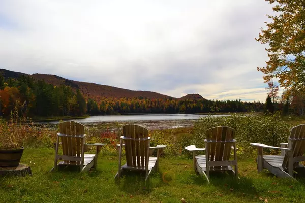 Loon Lake, NY 12989,181 Sandpiper Dr.