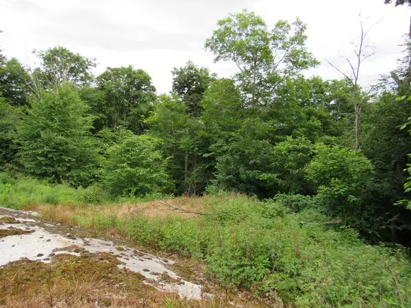 Old Forge, NY 13420,0 Summit PL