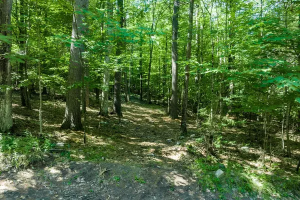 Jay, NY 12941,Lot 163 Algonquin LN