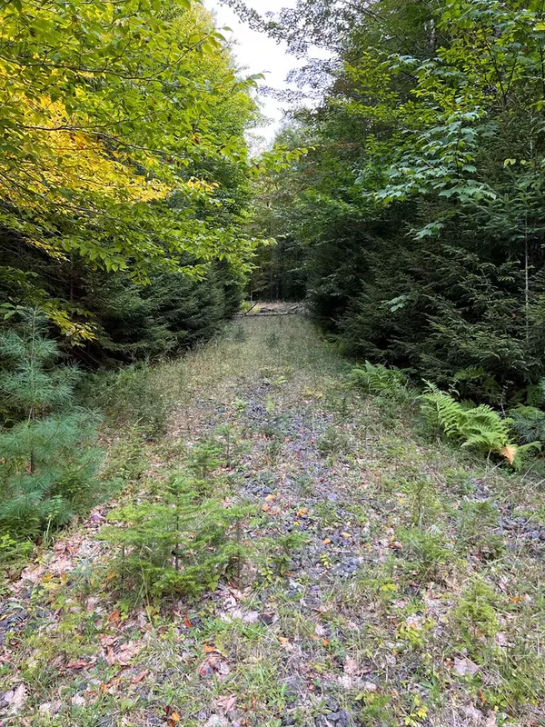 Long Lake, NY 12847,00 Point RD