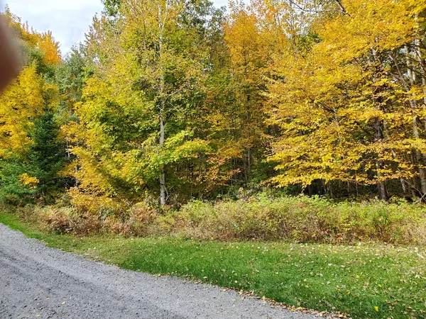 Loon Lake, NY 12989,Lot 4/5 Balsam RD