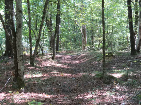 Jay, NY 12941,Lot 130 Cottontail LN