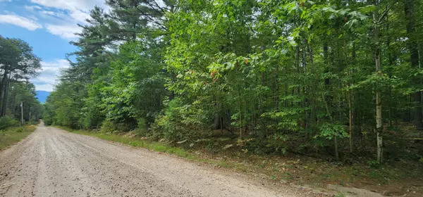 Jay, NY 12941,Lot 130 Cottontail LN