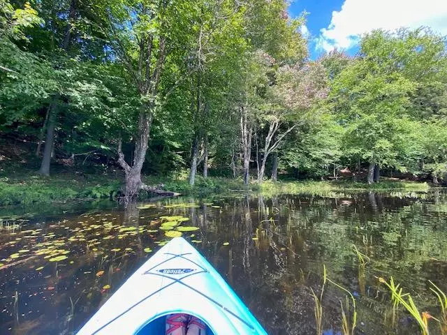 Old Forge, NY 13420,165 Pine Acres RD