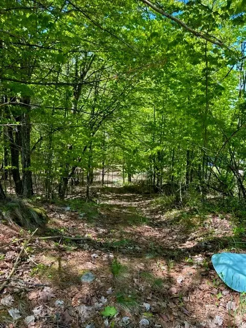 Saranac Lake, NY 12983,20 Morgans LN