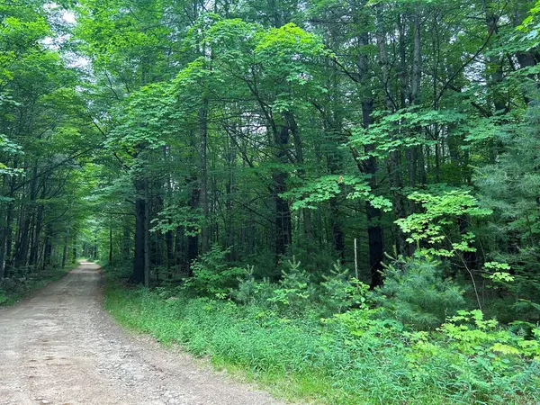 Altona, NY 12910,0 Helens WAY