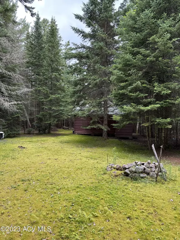 Saranac Lake, NY 12983,772 Cold Brook RD