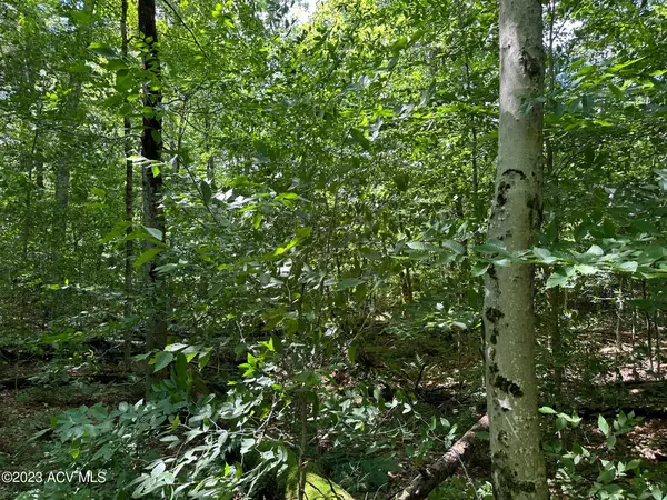 Old Forge, NY 13420,66-1-5.1 Fulton House Spur #2