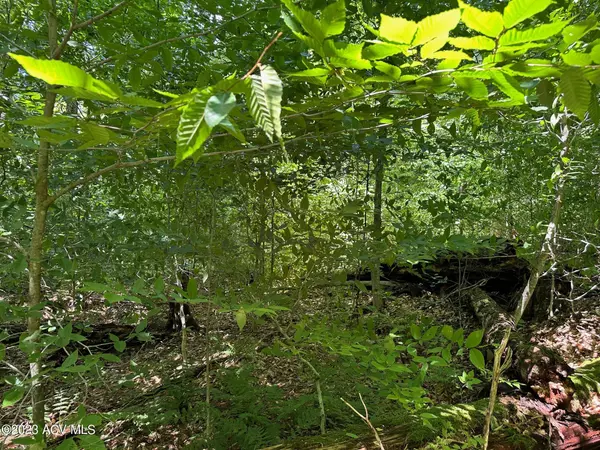 Old Forge, NY 13420,66-1-5.1 Fulton House Spur #2