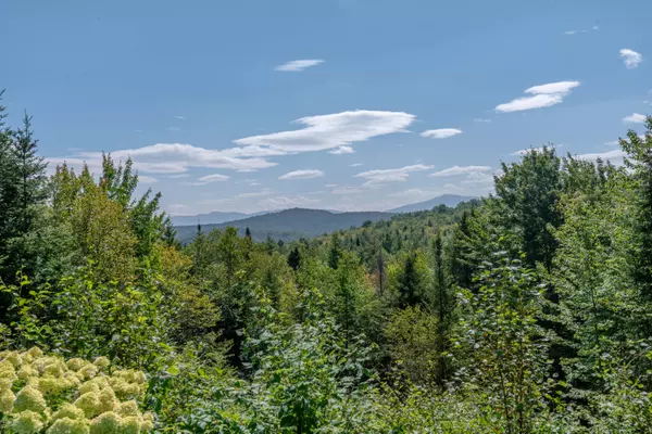 Vermontville, NY 12989,334 Sink Hole RD