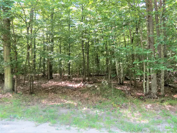 Jay, NY 12941,Lot 192 Oneida LN
