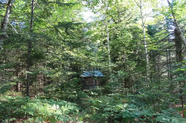 Indian Lake, NY 12842,0 Lake Snow Rd