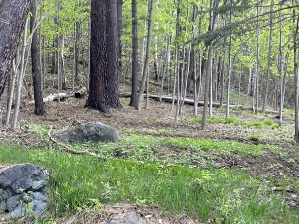 Saranac Lake, NY 12983,241.5 Broadway