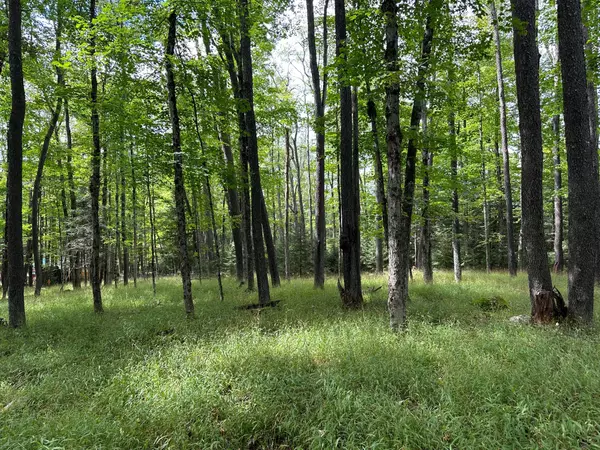 0 Long View E VW E, Old Forge, NY 13420