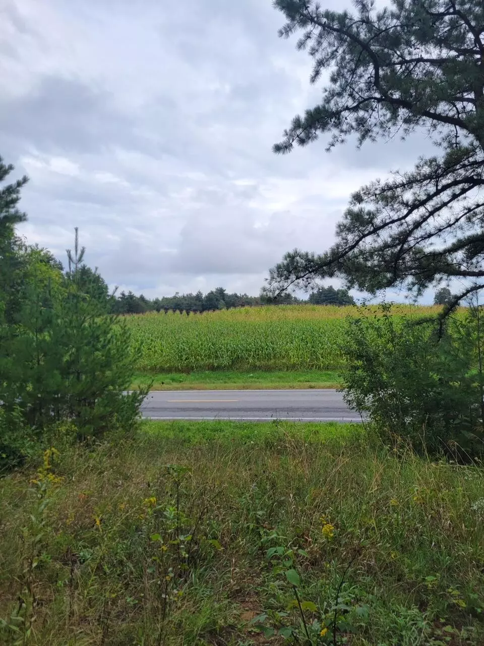 Peru, NY 12972,0 Felton Road RD