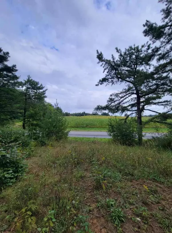 Peru, NY 12972,0 Felton Road RD