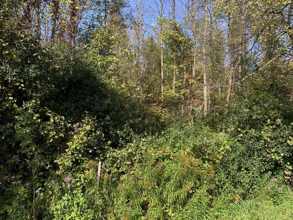 Chazy, NY 12921,L23.1 Slosson RD