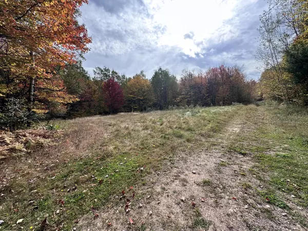 Altona, NY 12910,0 Rand Hill RD