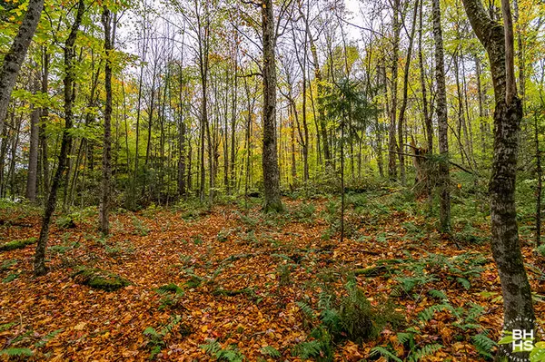 Paul Smiths, NY 12970,0 Heron Lane