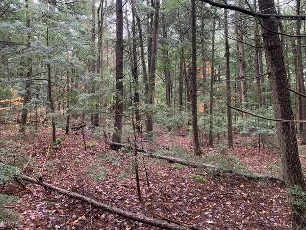 Lewis, NY 12950,0 Hemlock LN