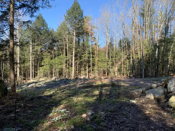 Lewis, NY 12950,15 Hemlock LN