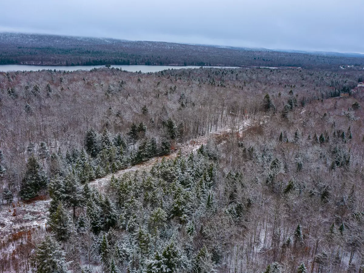 Piercefield, NY 12973,141 Racquette Flow Drive RD