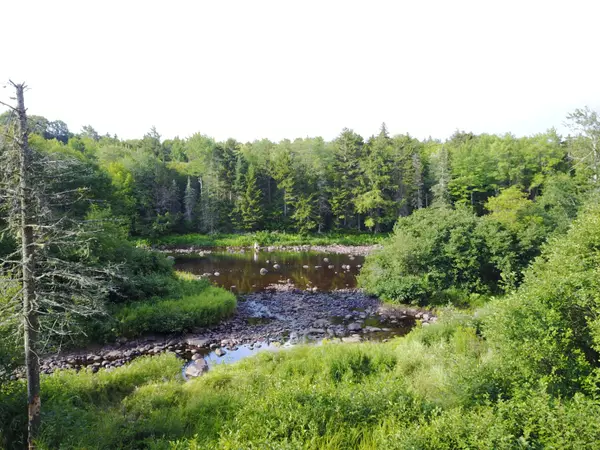 Indian Lake, NY 12842,0 Cedar River Rd