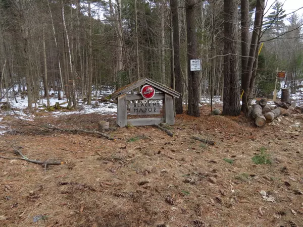 Au Sable Forks, NY 12912,107 Black Mountain RD