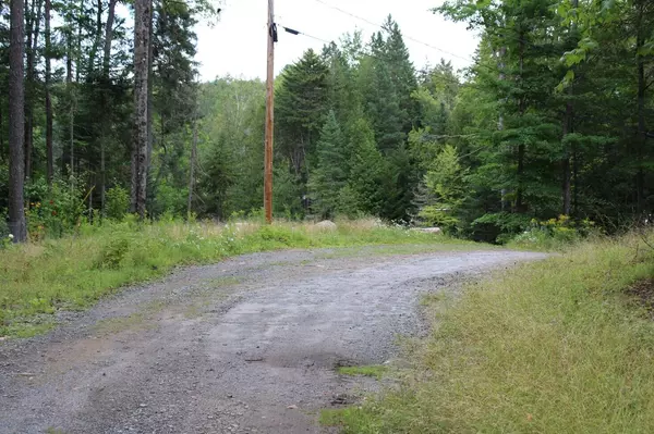 Indian Lake, NY 12842,109 Mallard Point