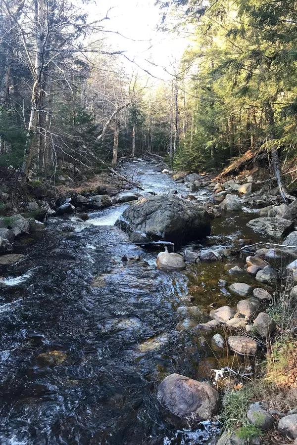 Indian Lake, NY 12842,134 Carry LN