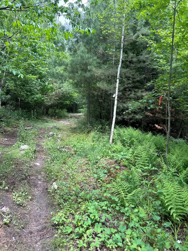 Mooers Forks, NY 12958,0 Cannon Corners RD