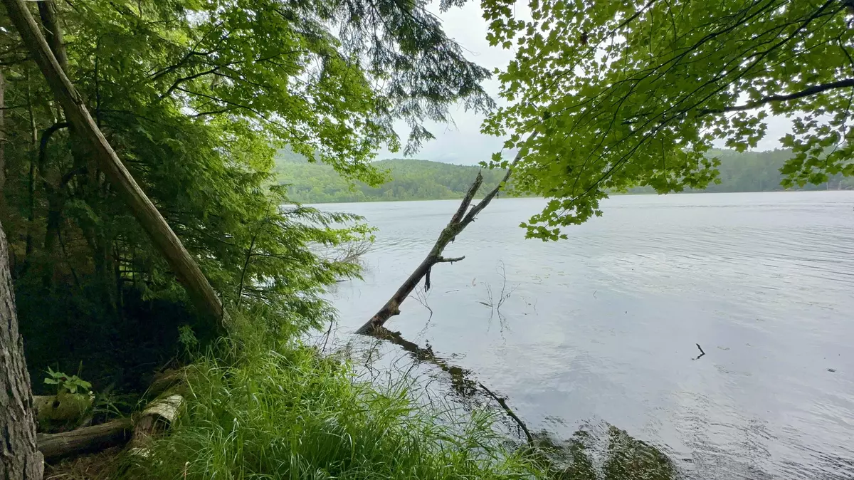 Willsboro, NY 12996,0 Beaver Way