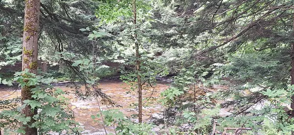 Chateaugay, NY 12920,60 Brayton Hollow RD