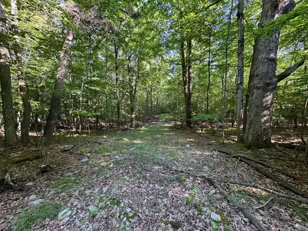 Keeseville, NY 12944,0 Trembleau RD