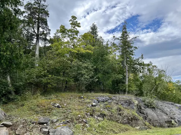 Plattsburgh, NY 12901,0 Bluff Point Dr Lot 45
