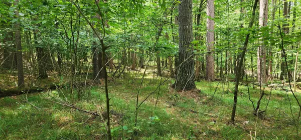 Jay, NY 12941,0 Antler DR