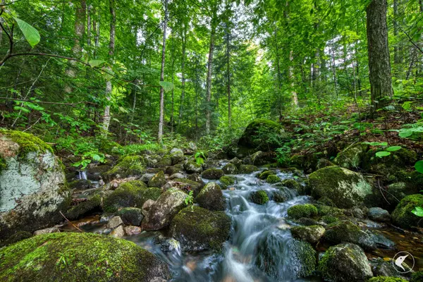 Lake Placid, NY 12946,0 Grouse Creek Way LOT 4