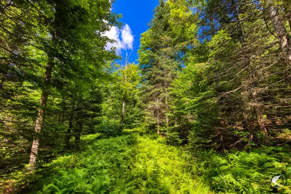 Lake Placid, NY 12946,0 Grouse Creek Way LOT 4