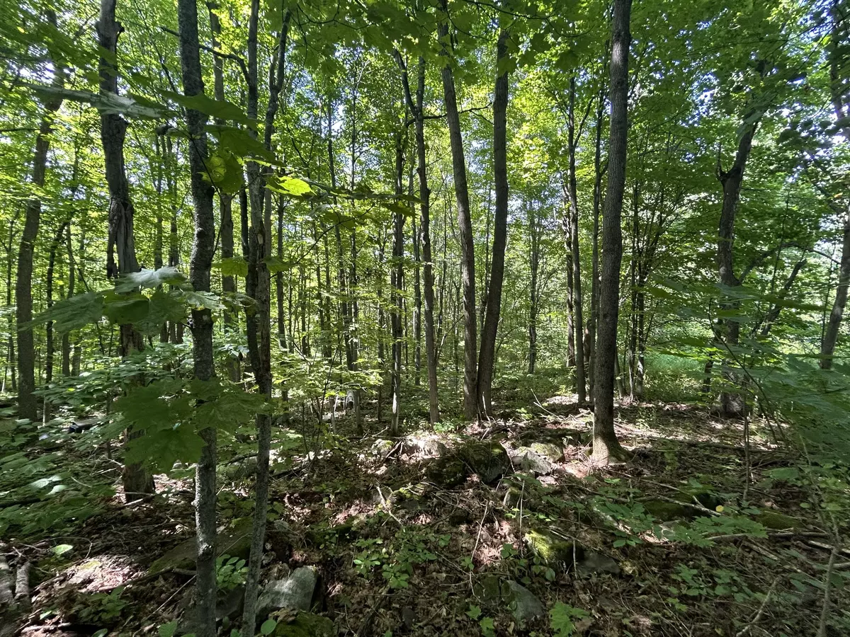 Altona, NY 12910,0 Rand Hill RD