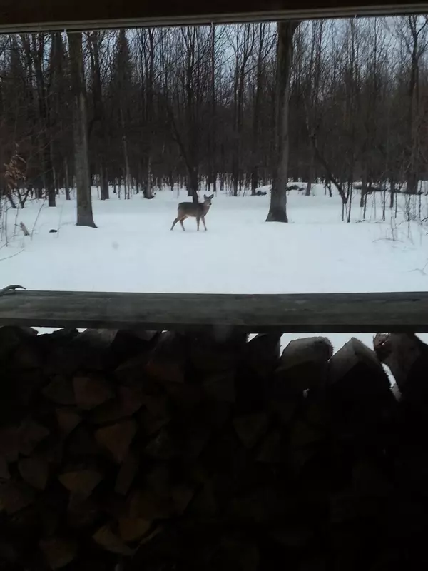Mooers Forks, NY 12959,719 Cannon Corners RD