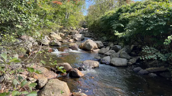 Lyon Mountain, NY 12952,2065 Standish RD