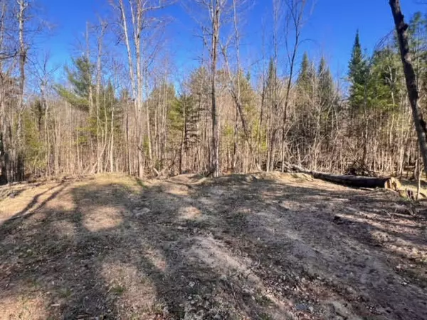 Jay, NY 12941,0 Dew DR