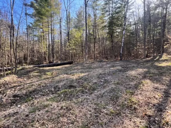 Jay, NY 12941,0 Dew DR