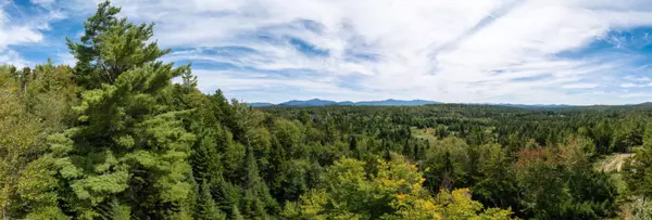 Vermontville, NY 12989,56 Jaelyn Way