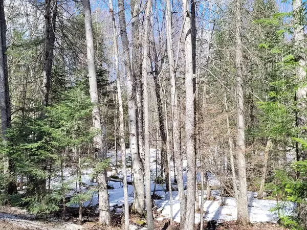 Vermontville, NY 12989,783 & 747 Alder Brook RD