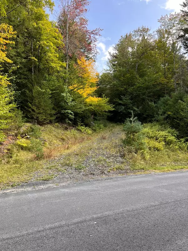 Long Lake, NY 12847,000 North Point RD