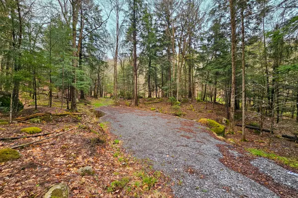 Lot 6 Gilbert RD, Inlet, NY 13360