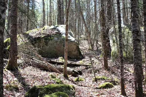 Indian Lake, NY 12842,0 Evergreen RD