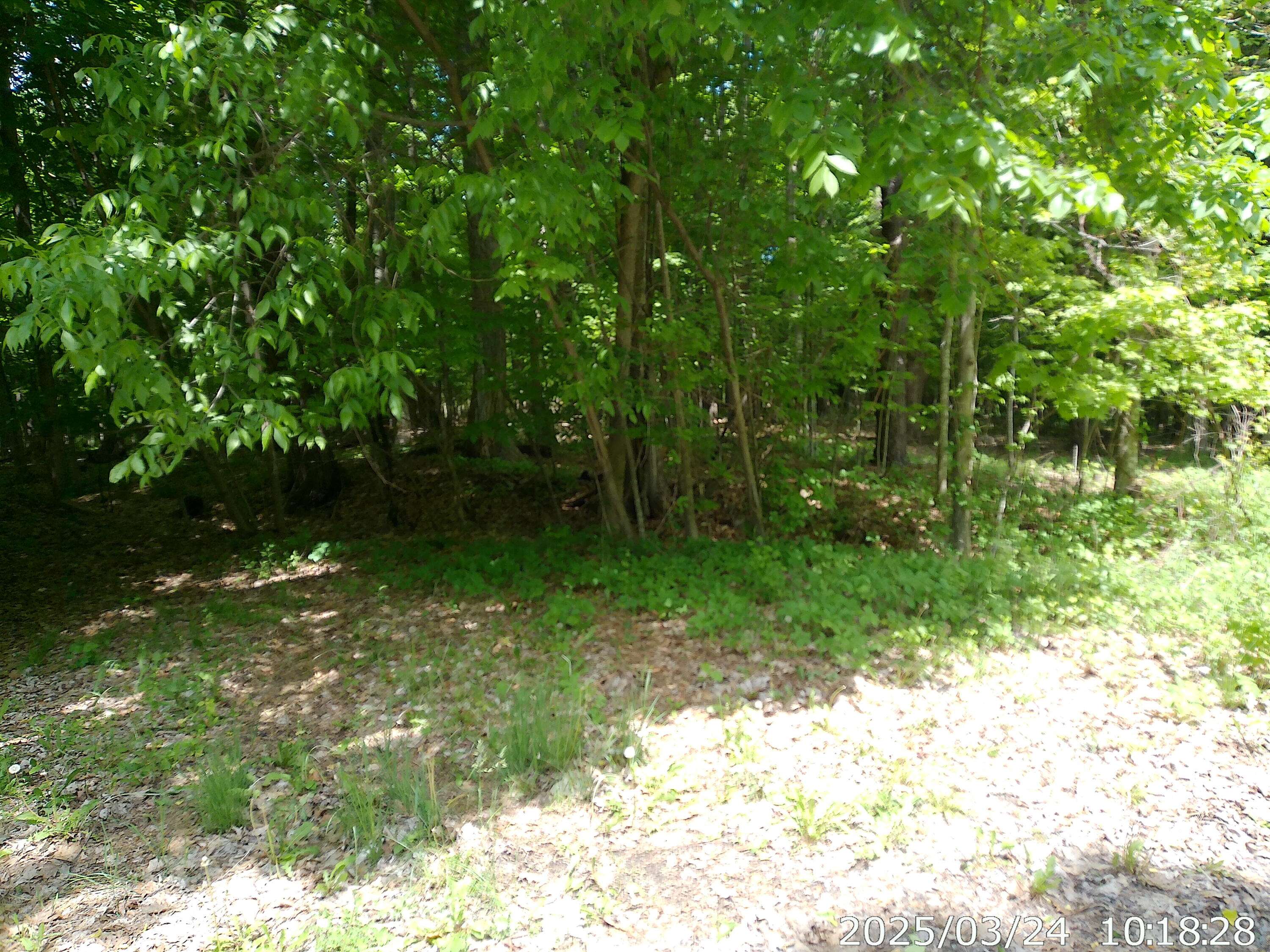 0 Vista DR, Willsboro, NY 12996